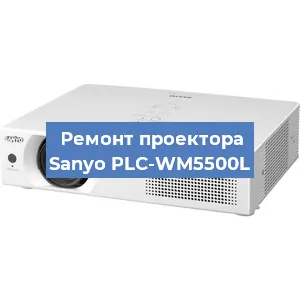 Замена поляризатора на проекторе Sanyo PLC-WM5500L в Нижнем Новгороде